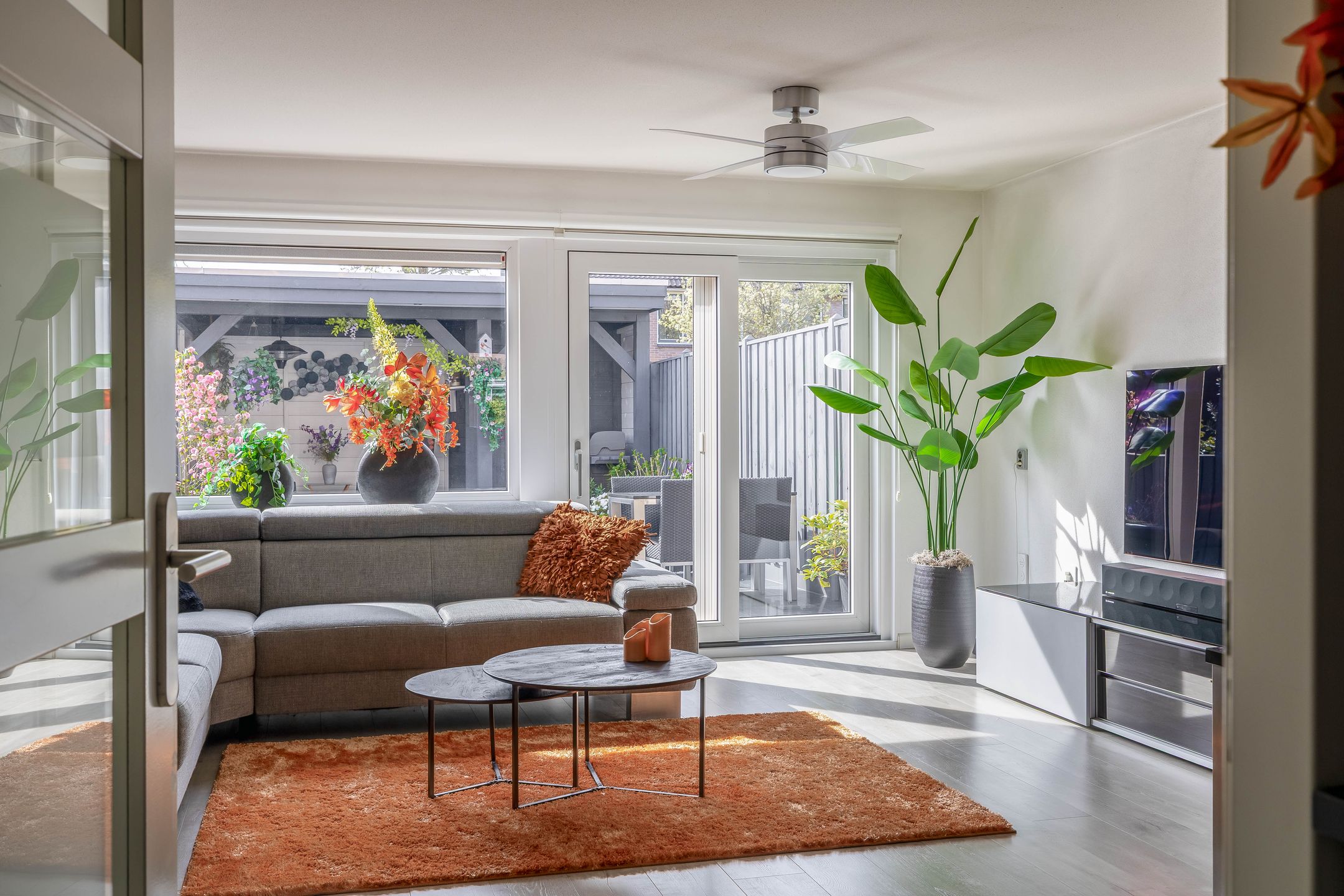 Photo 15 of Papaver 21