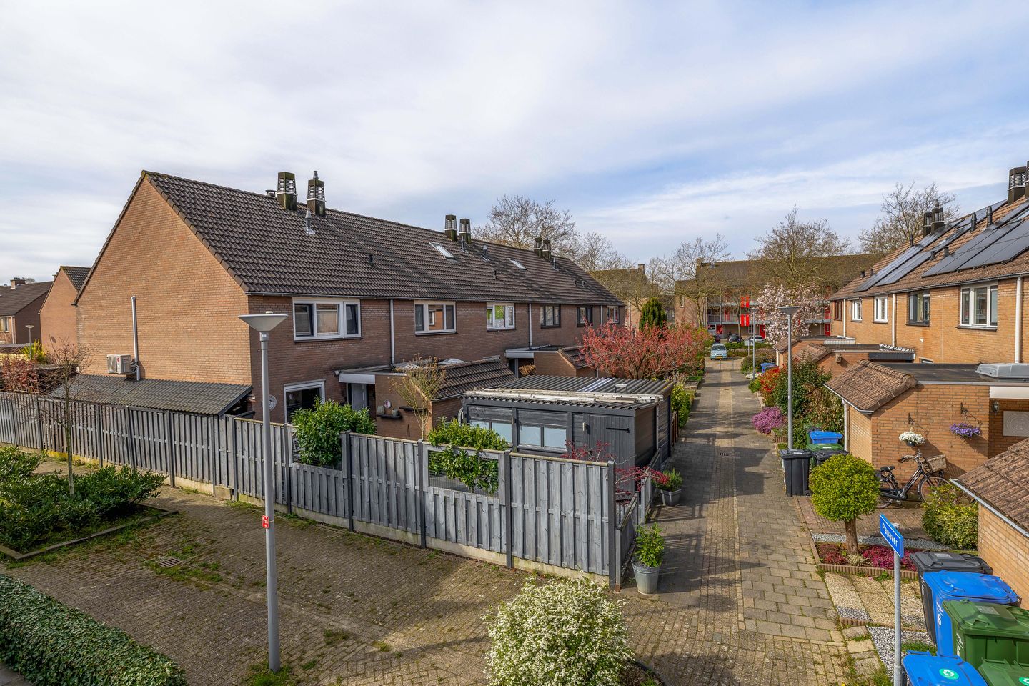 Photo 5 of Papaver 21