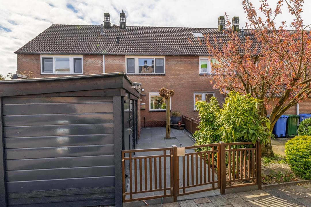 Photo 8 of Papaver 21