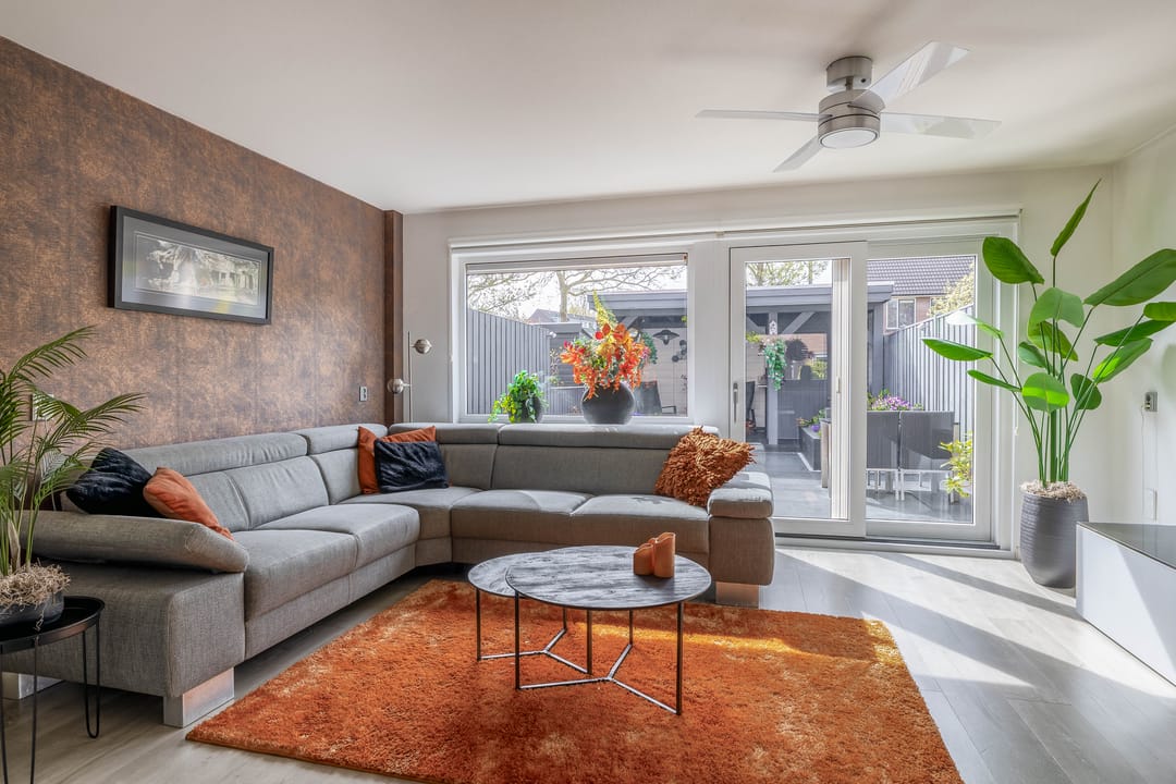 Photo 17 of Papaver 21