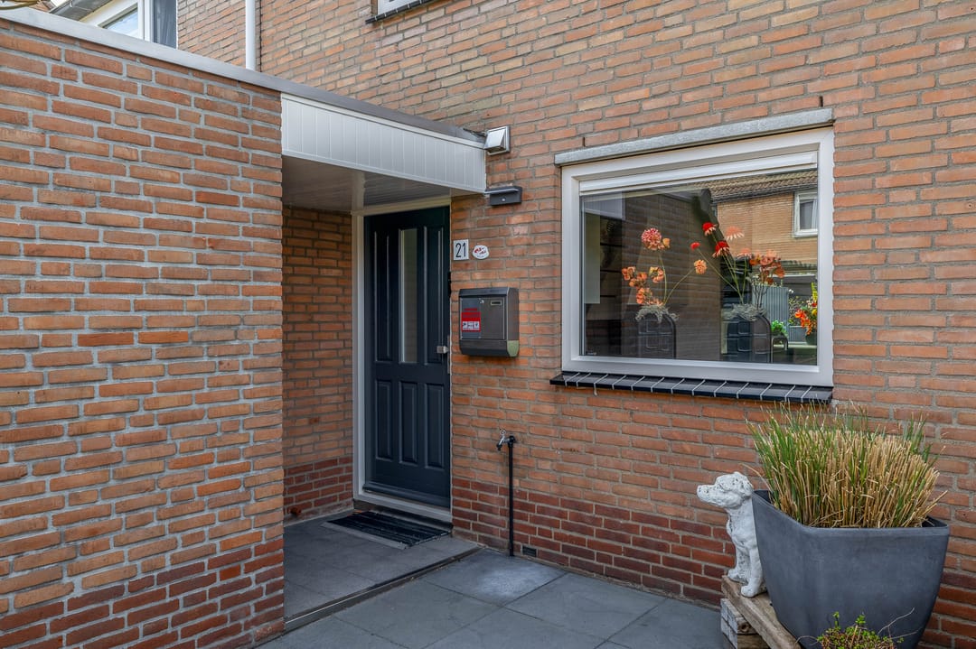 Photo 11 of Papaver 21