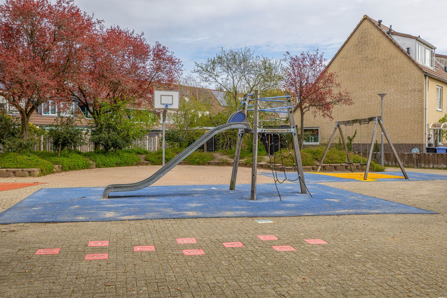 Photo 40 of Papaver 21