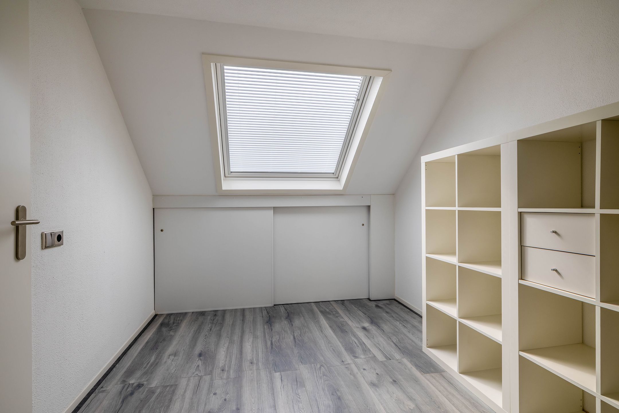 Photo 39 of Papaver 21