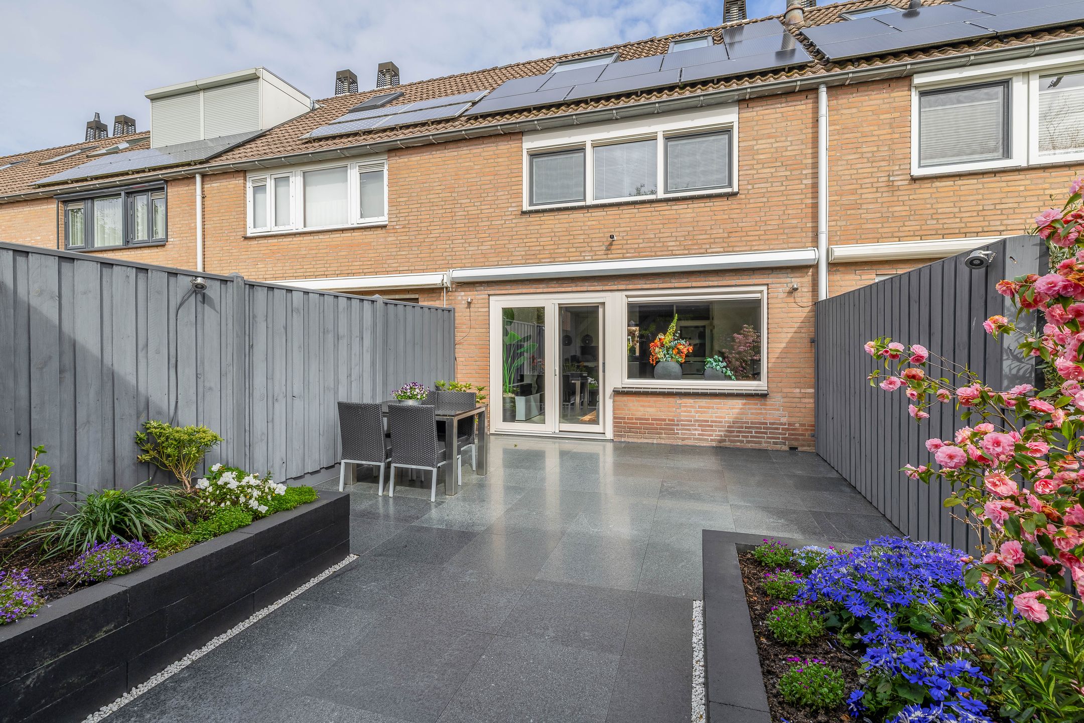 Photo 30 of Papaver 21