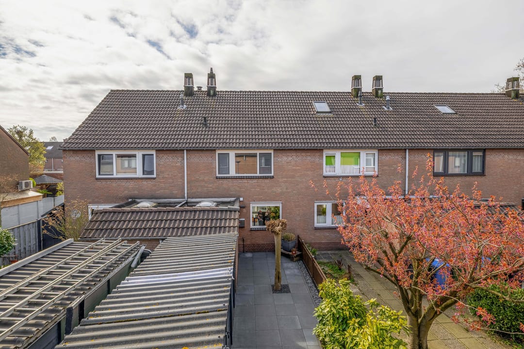 Photo 7 of Papaver 21