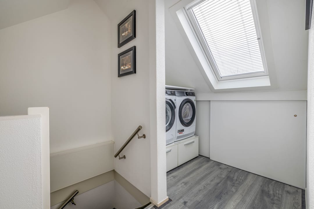 Photo 38 of Papaver 21