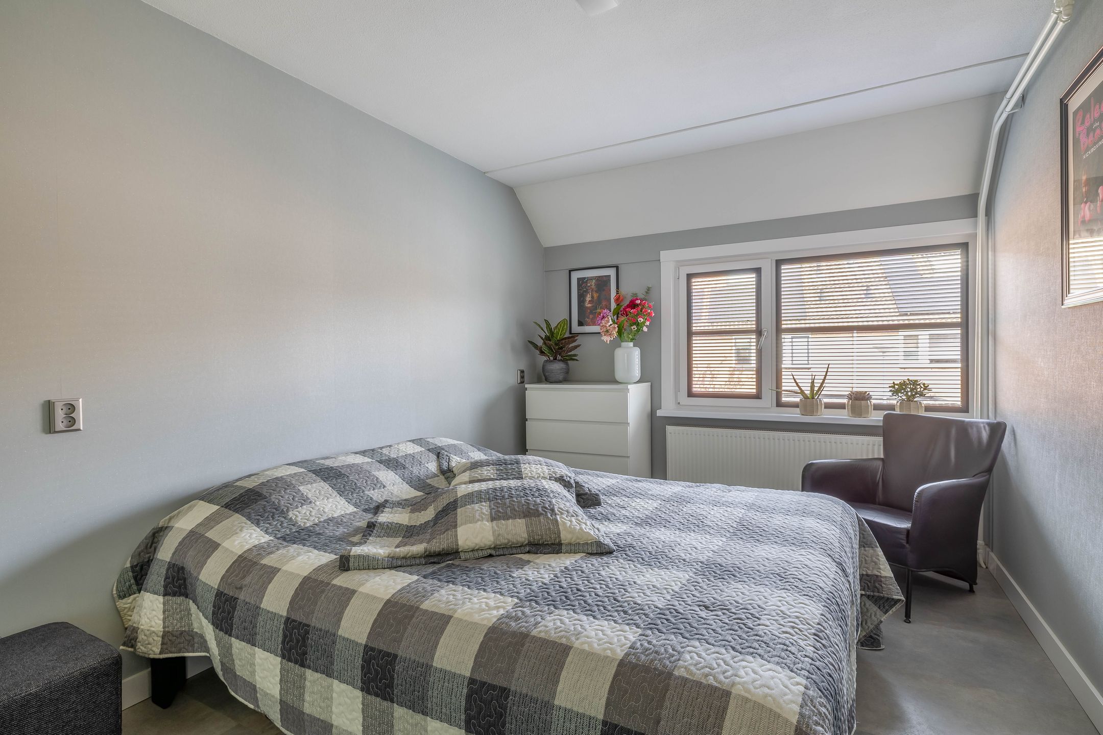 Photo 36 of Papaver 21