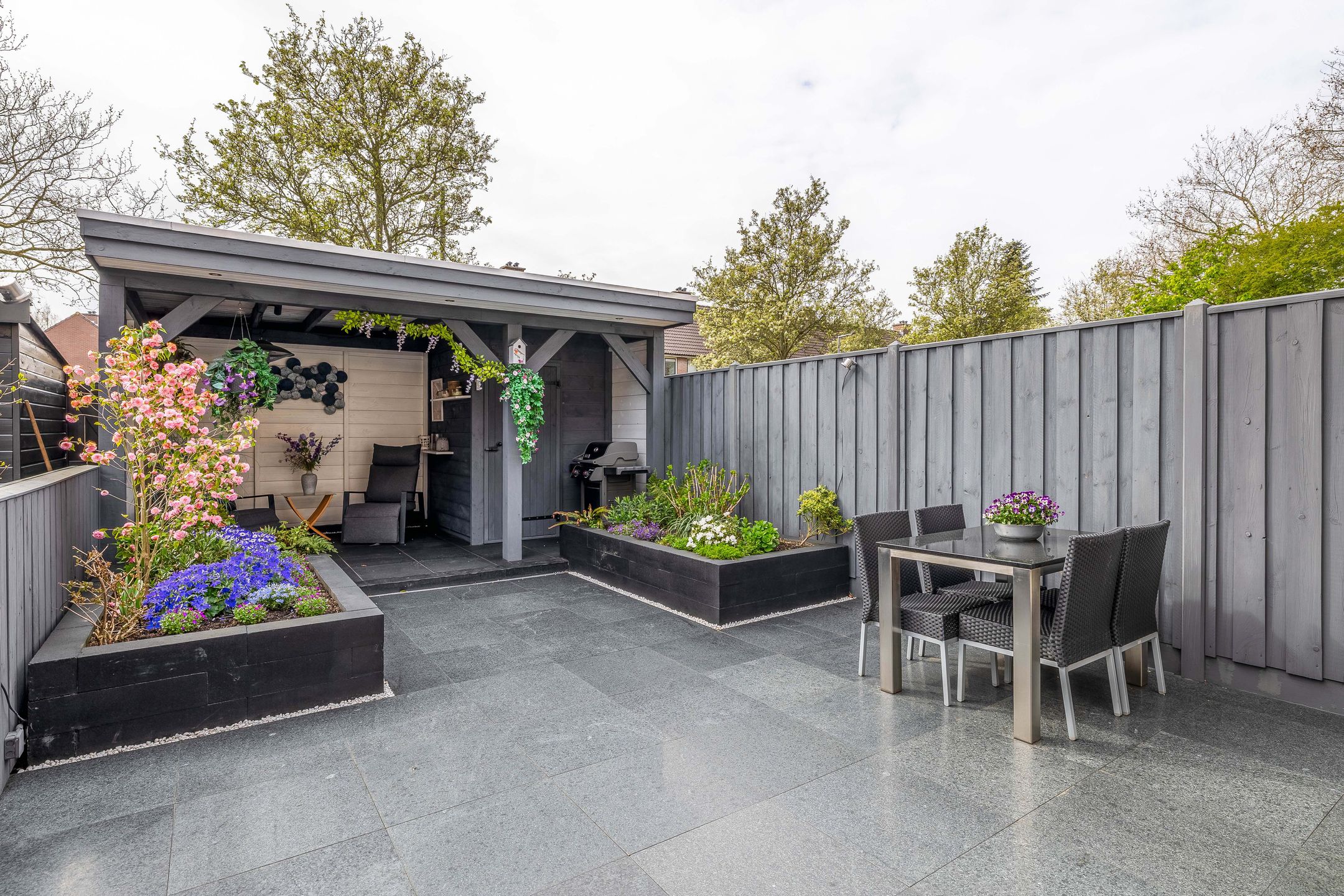 Photo 27 of Papaver 21