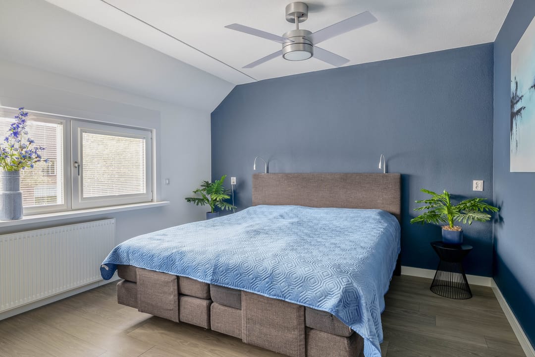 Photo 31 of Papaver 21