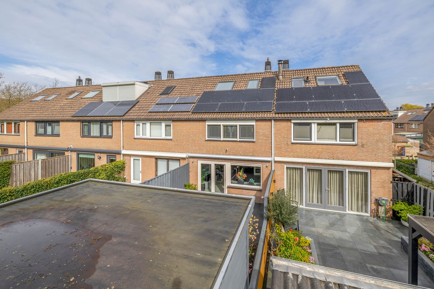 Photo 29 of Papaver 21