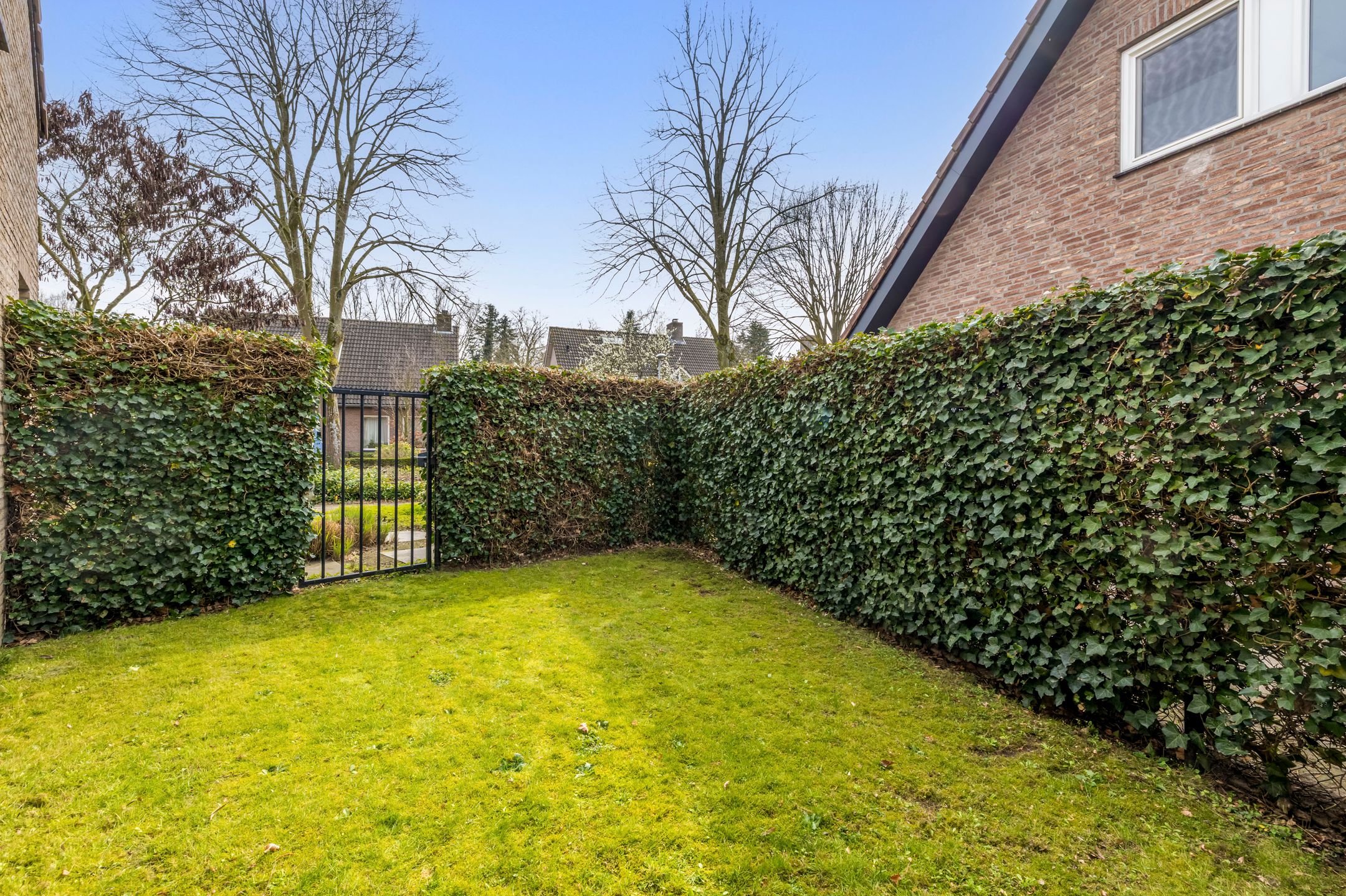 Photo 63 of Heike 47