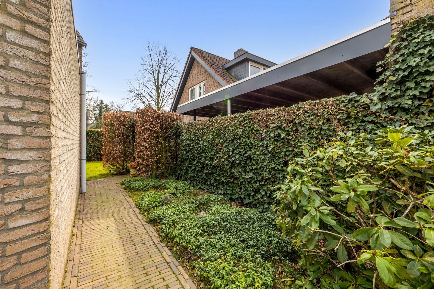 Photo 64 of Heike 47