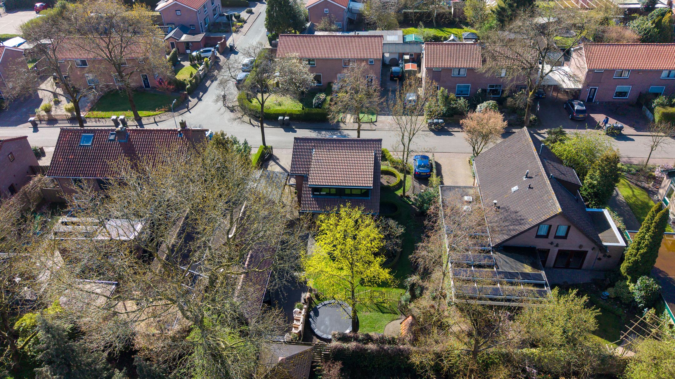 Photo 42 of Westerlaan 32