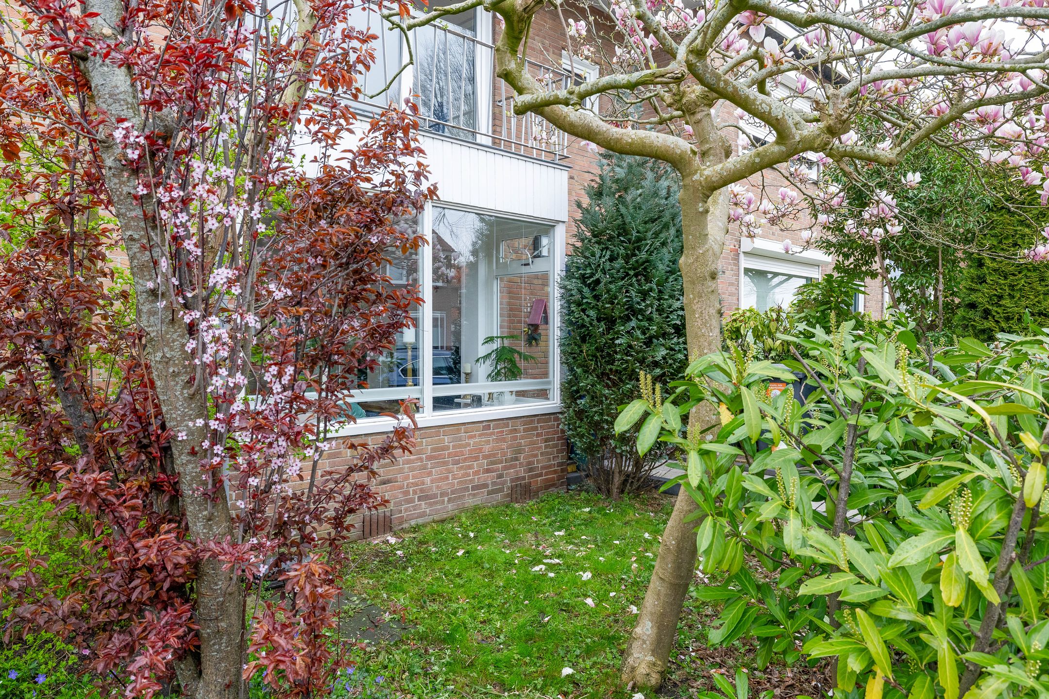 Foto 6 van Burgemeester de Boerstraat 35