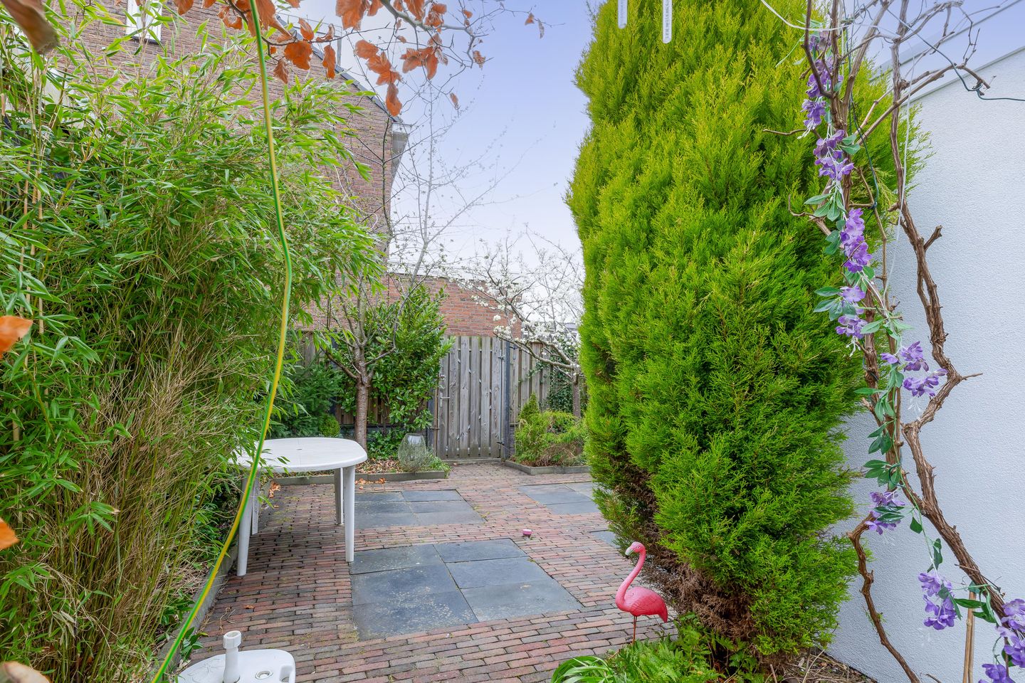 Foto 4 van Burgemeester de Boerstraat 35