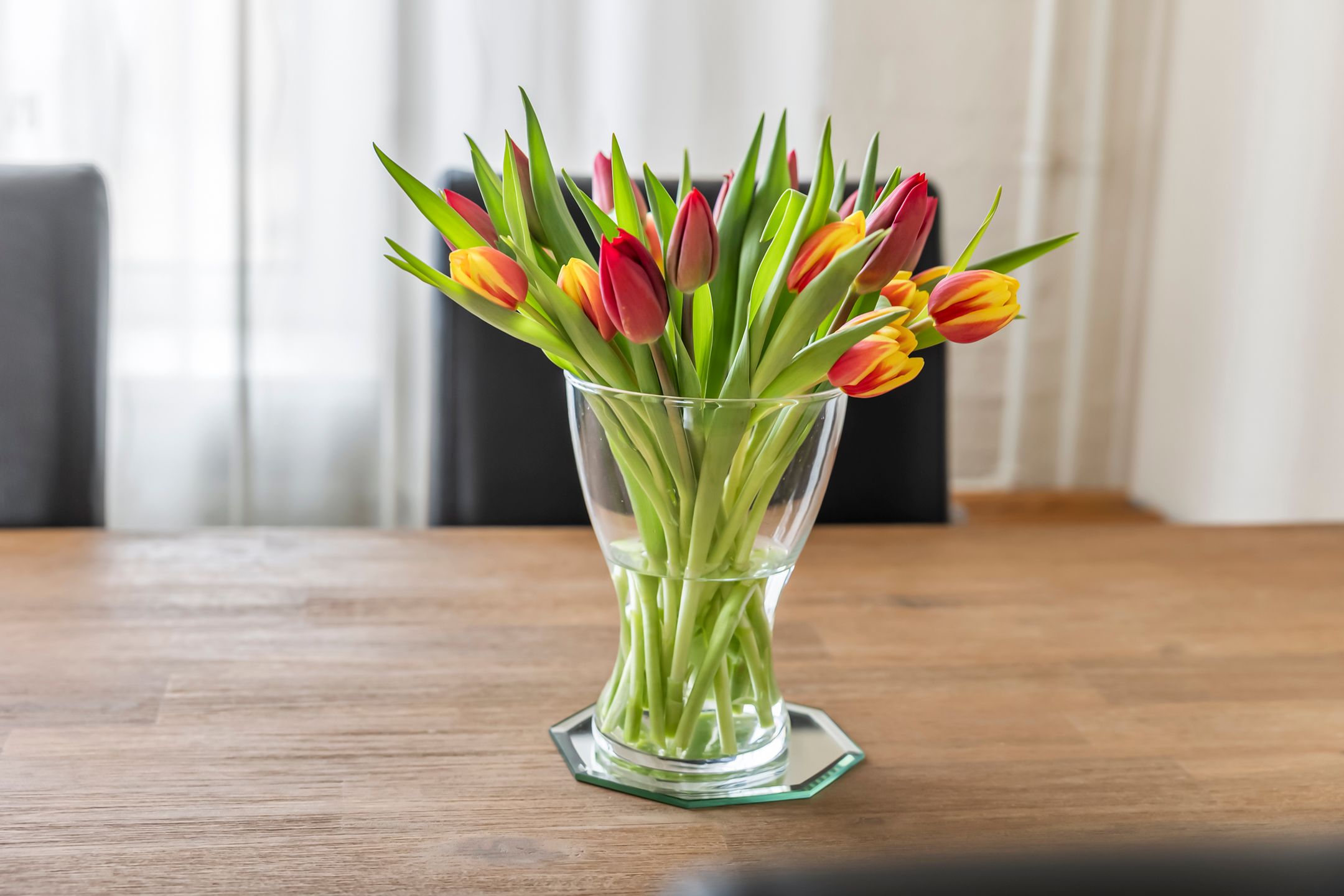 Foto 9 van Dokter Bauerstraat 88