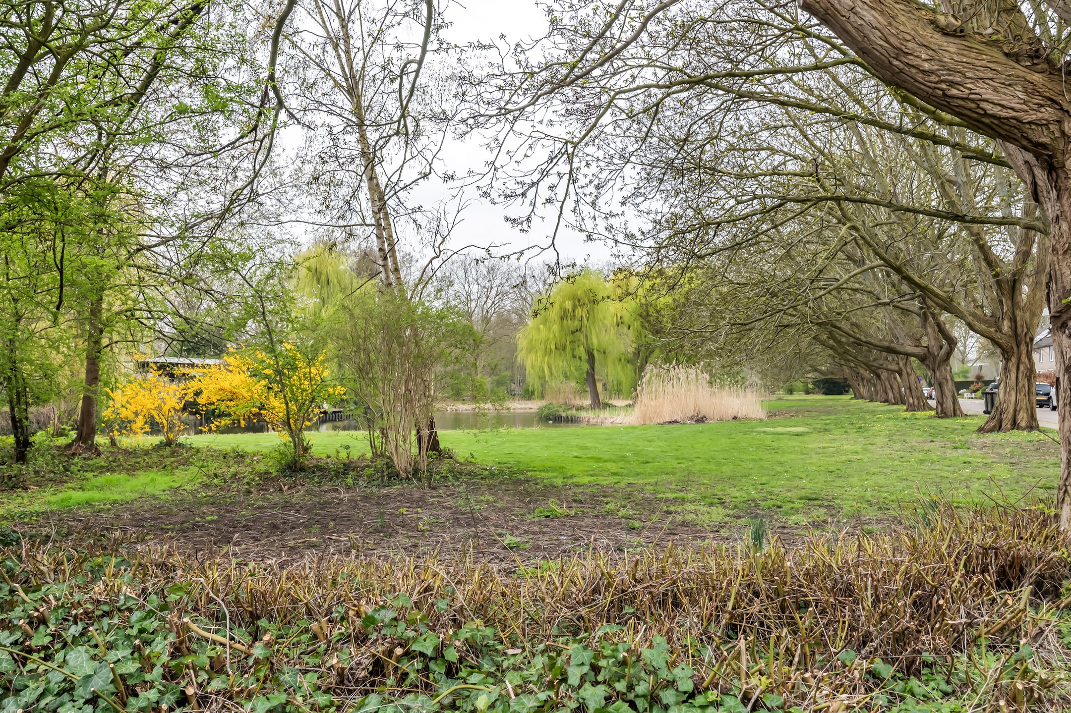 Foto 27 van Dokter Bauerstraat 88