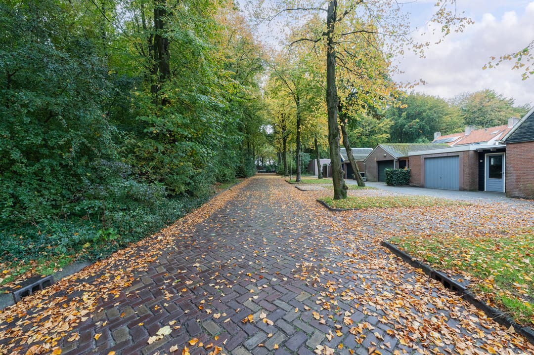 Foto 7 van Petrus Aemiliusstraat 73