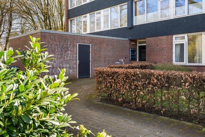 Foto 5 van Dukdalf 129