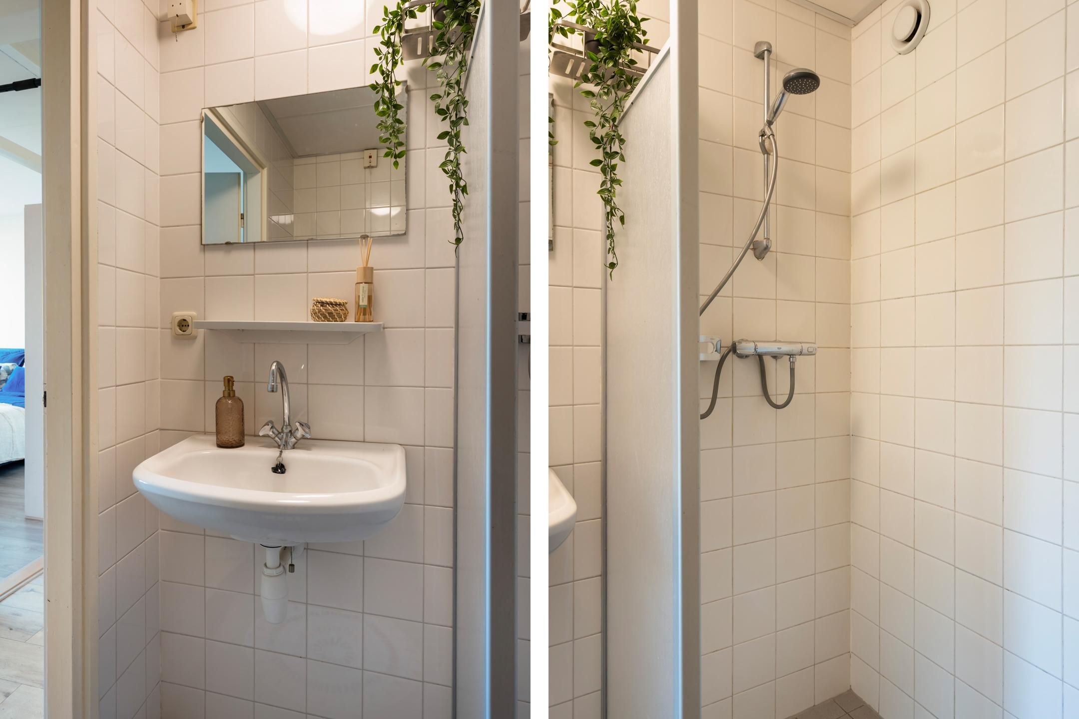 Foto 27 van Dukdalf 129