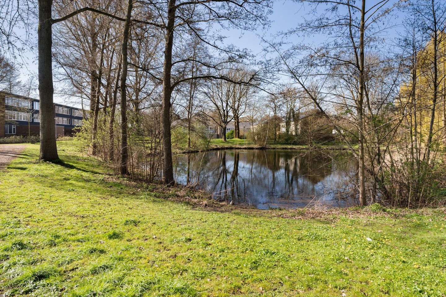 Foto 34 van Dukdalf 129