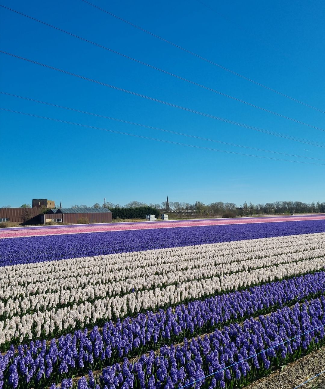 Foto 5 van CPO Zelfbouw Langeveld