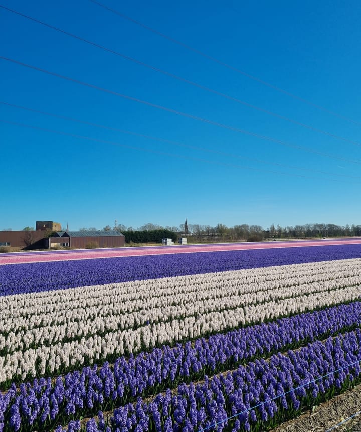 Foto 5 van CPO Zelfbouw Langeveld