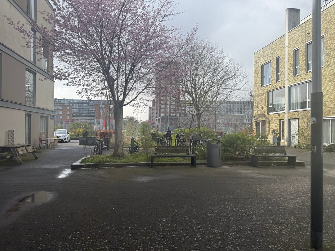 Foto 2 van Bep Bakhuysstraat 6