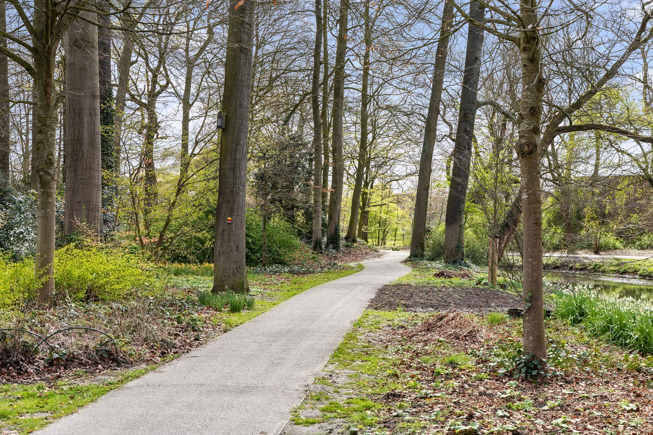 Photo 21 of Van der Glashof 29