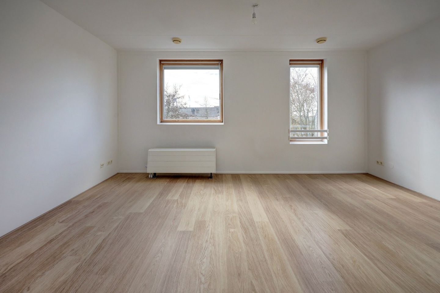 Foto 25 van Priamsingel 55