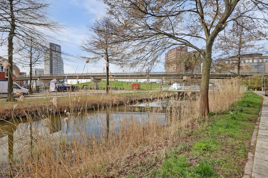 Foto 37 van Priamsingel 55