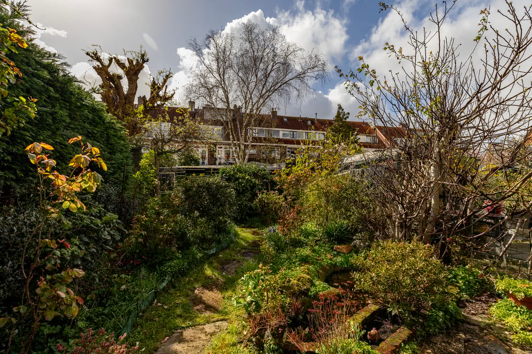 Photo 43 of West-Sidelinge 276