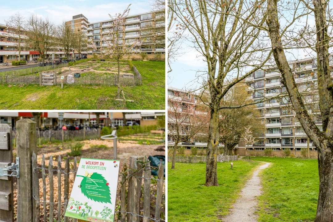 Foto 38 van Martin Luther Kinglaan 390