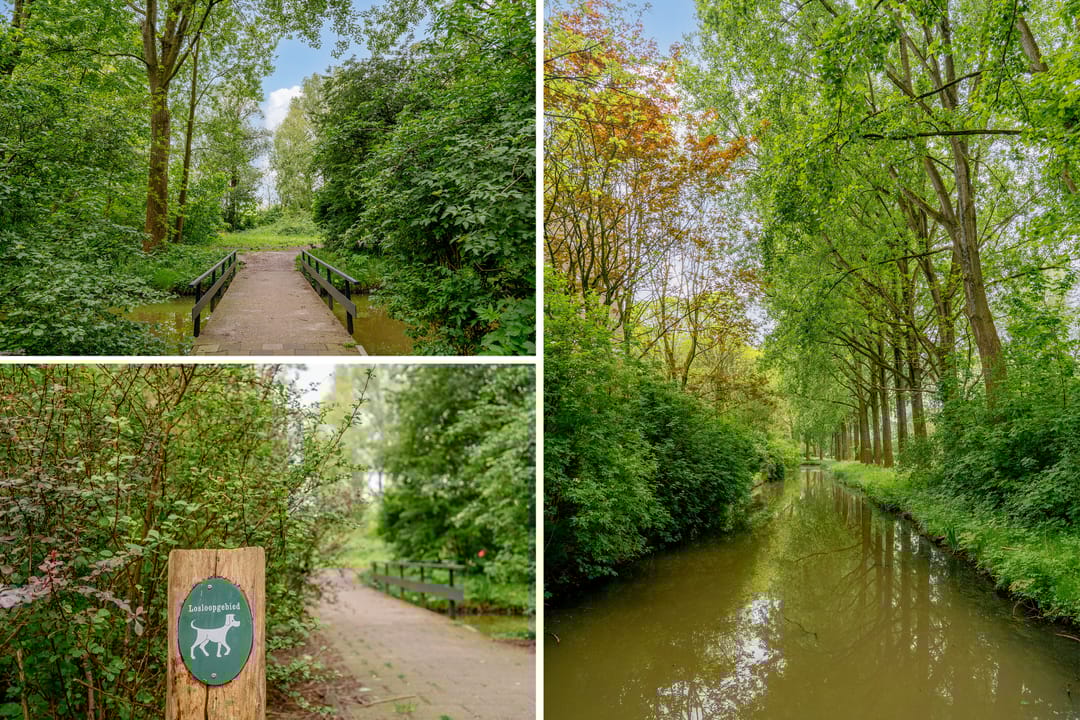 Foto 43 van Martin Luther Kinglaan 390