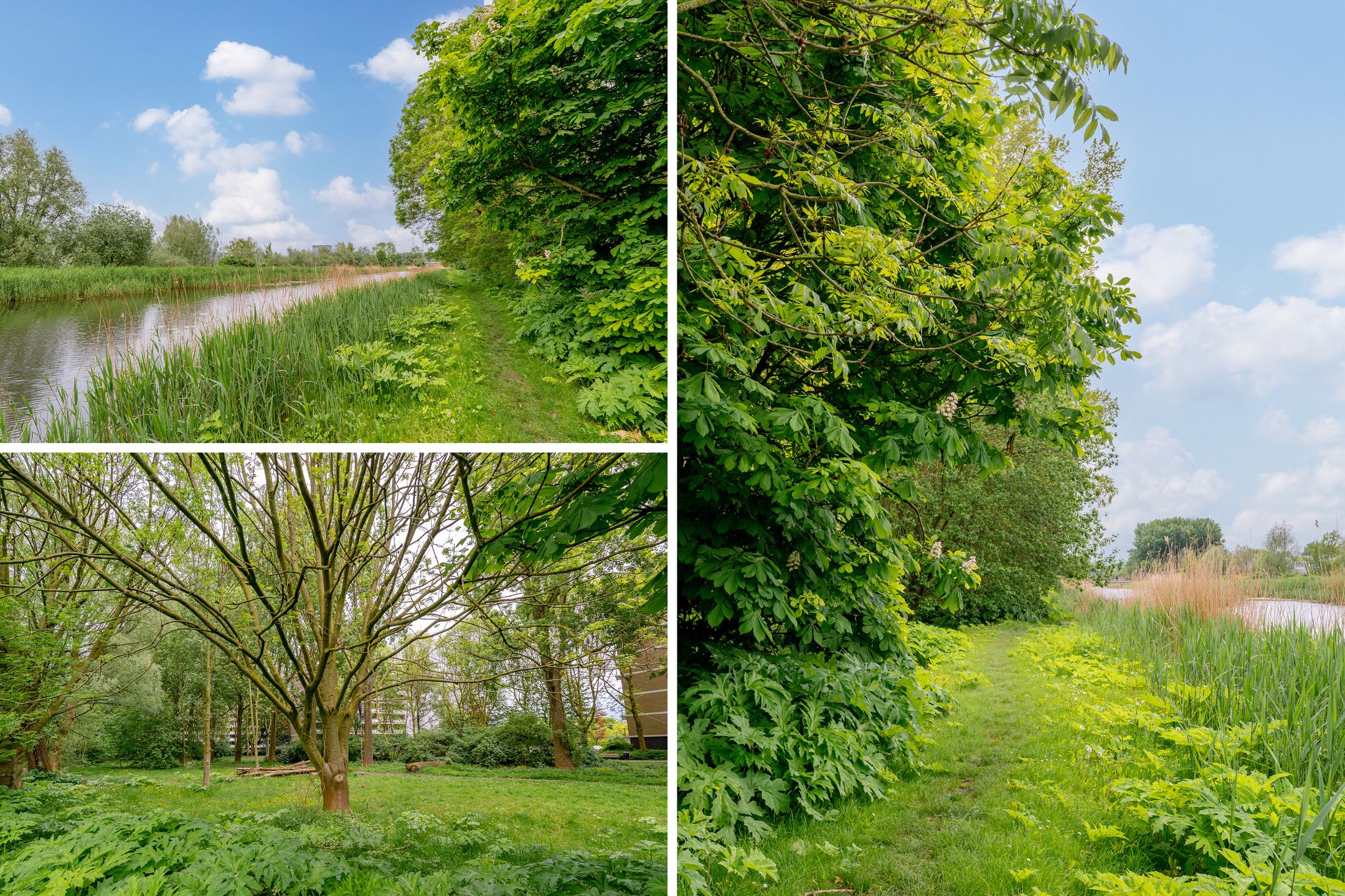 Foto 42 van Martin Luther Kinglaan 390