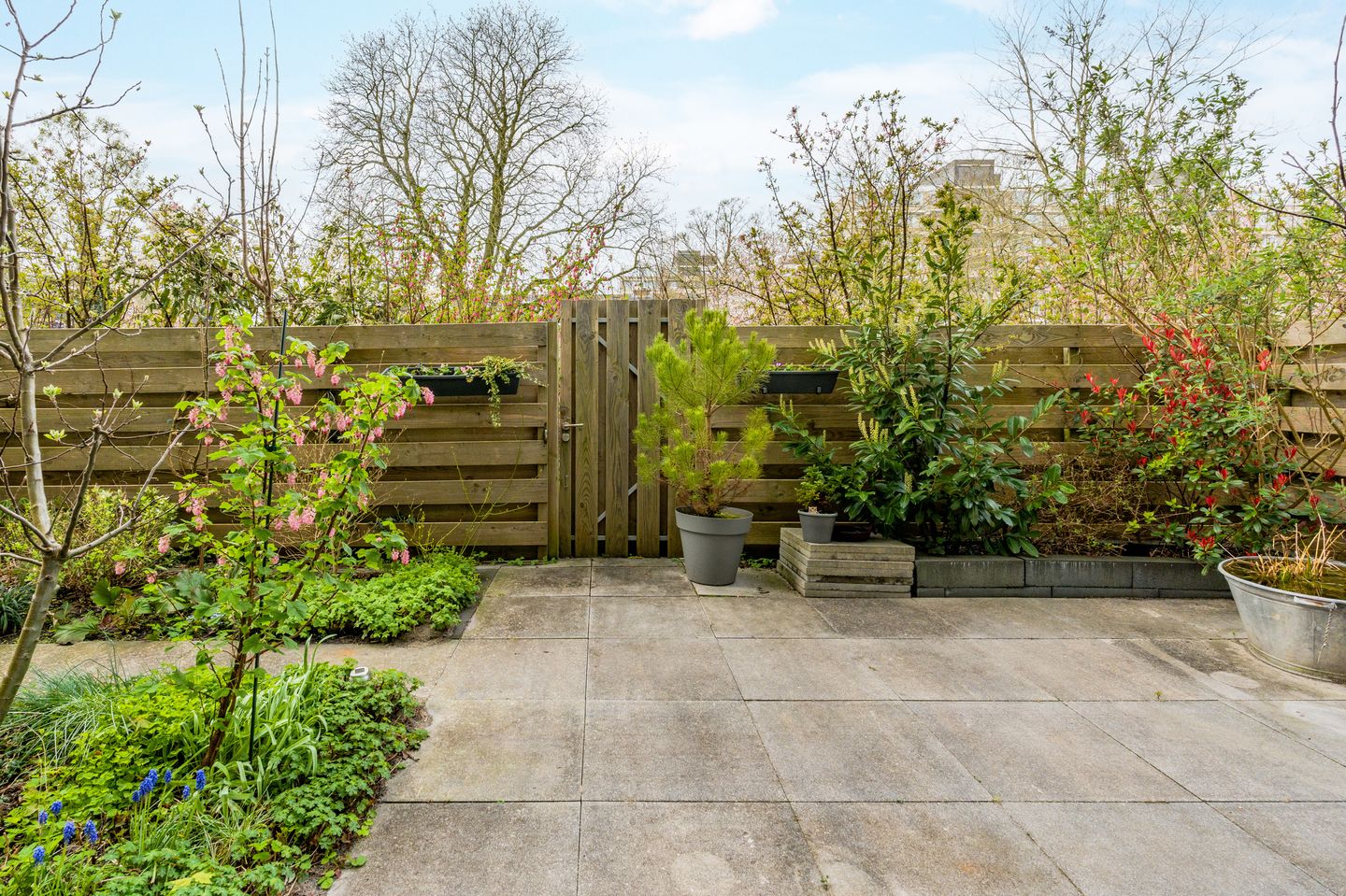 Foto 29 van Martin Luther Kinglaan 390