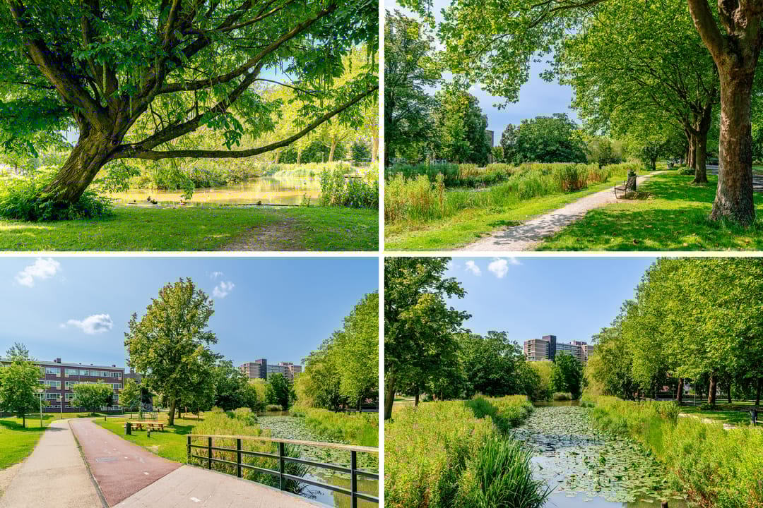 Foto 41 van Martin Luther Kinglaan 390