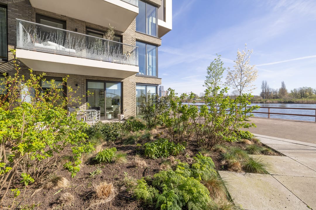 Photo 17 of Lorriestraat 103