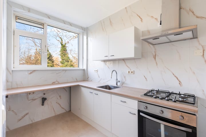 Photo 3 of West-Sidelinge 310