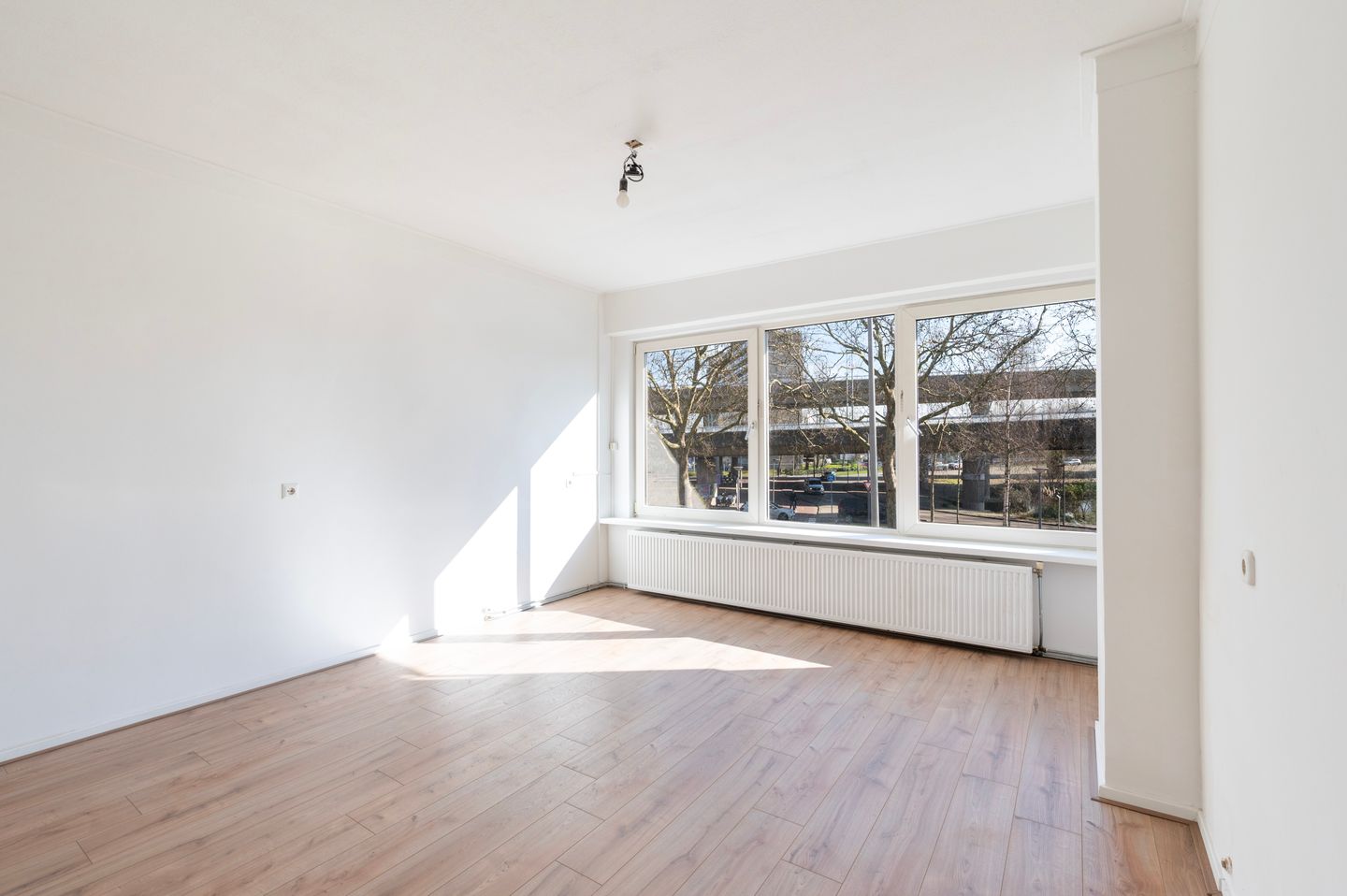 Foto 5 van West-Sidelinge 310