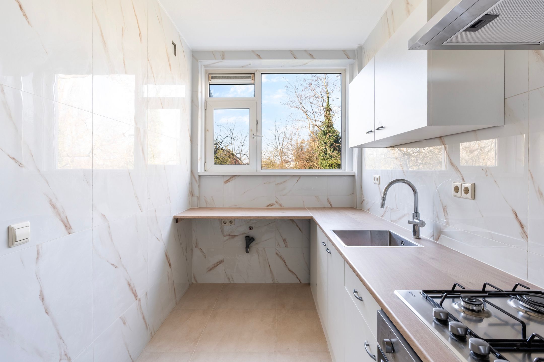 Foto 9 van West-Sidelinge 310