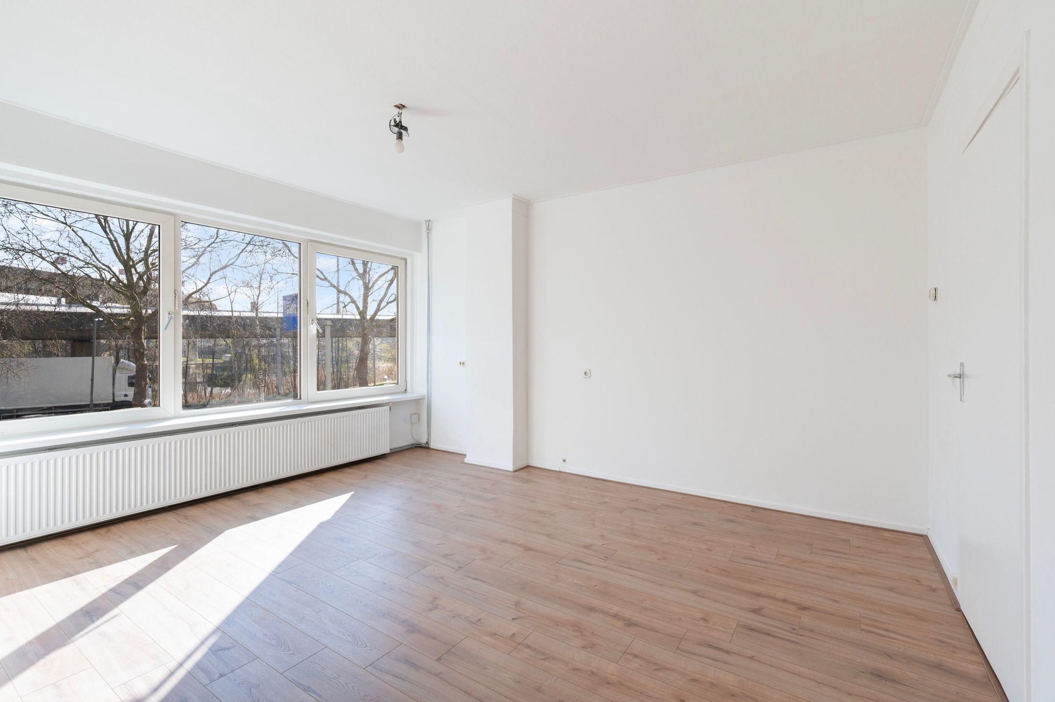 Foto 6 van West-Sidelinge 310