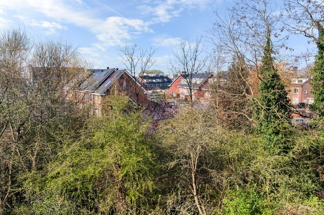 Foto 22 van West-Sidelinge 310