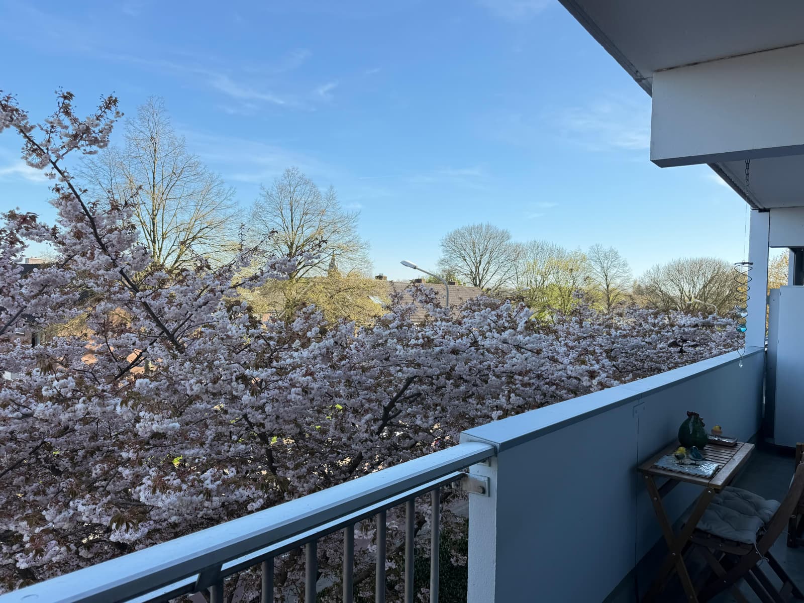 Photo 45 of Planetenhof 130-C