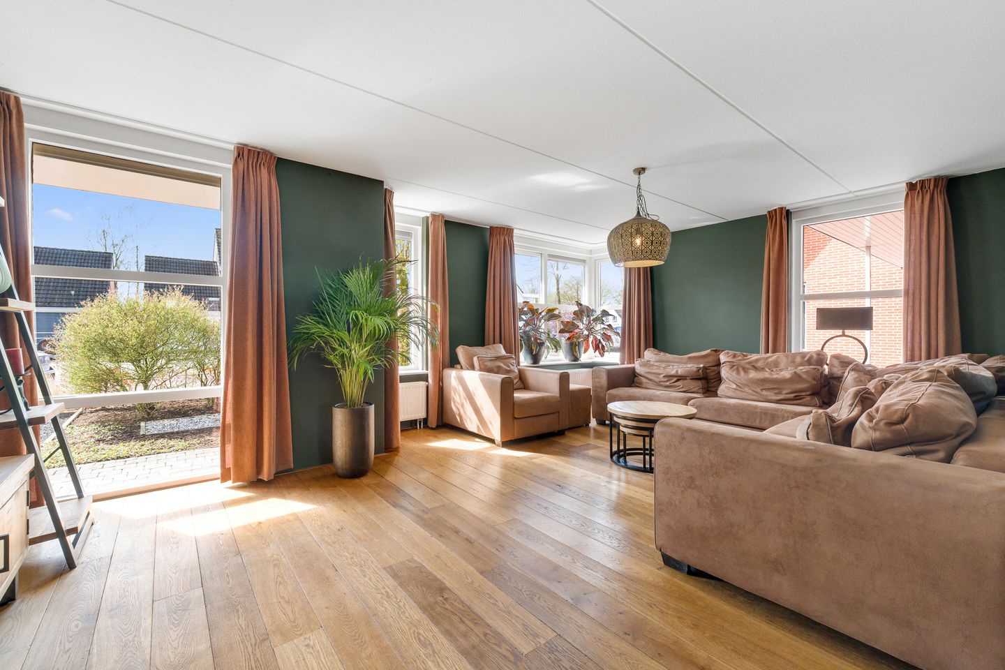 Photo 5 of Engelwortel 11