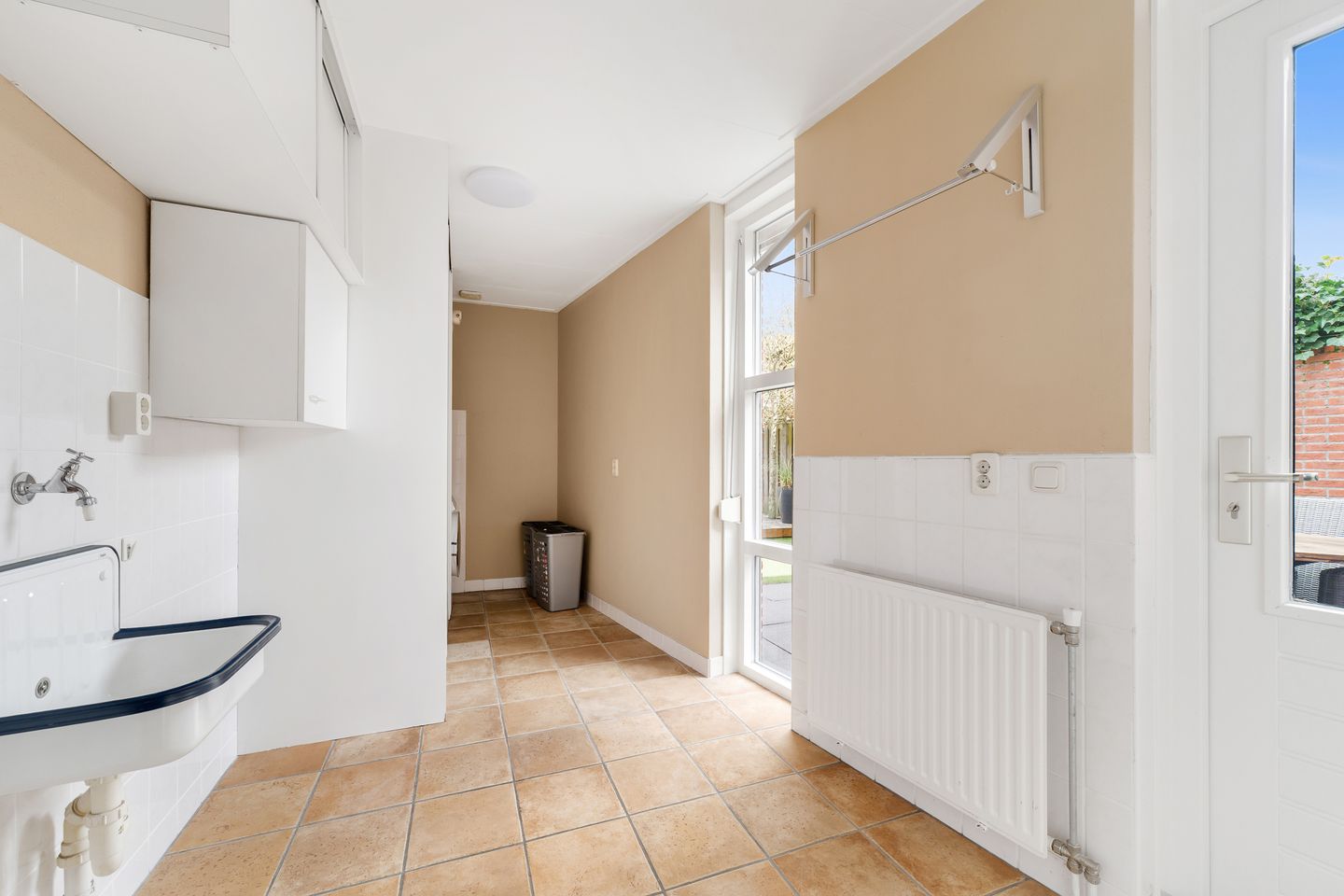 Photo 14 of Engelwortel 11