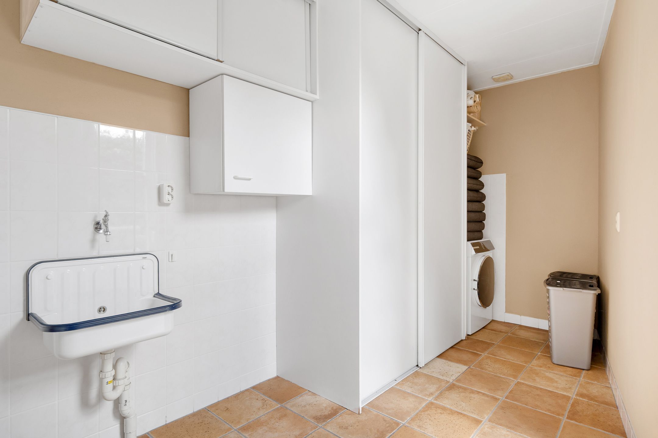 Photo 15 of Engelwortel 11