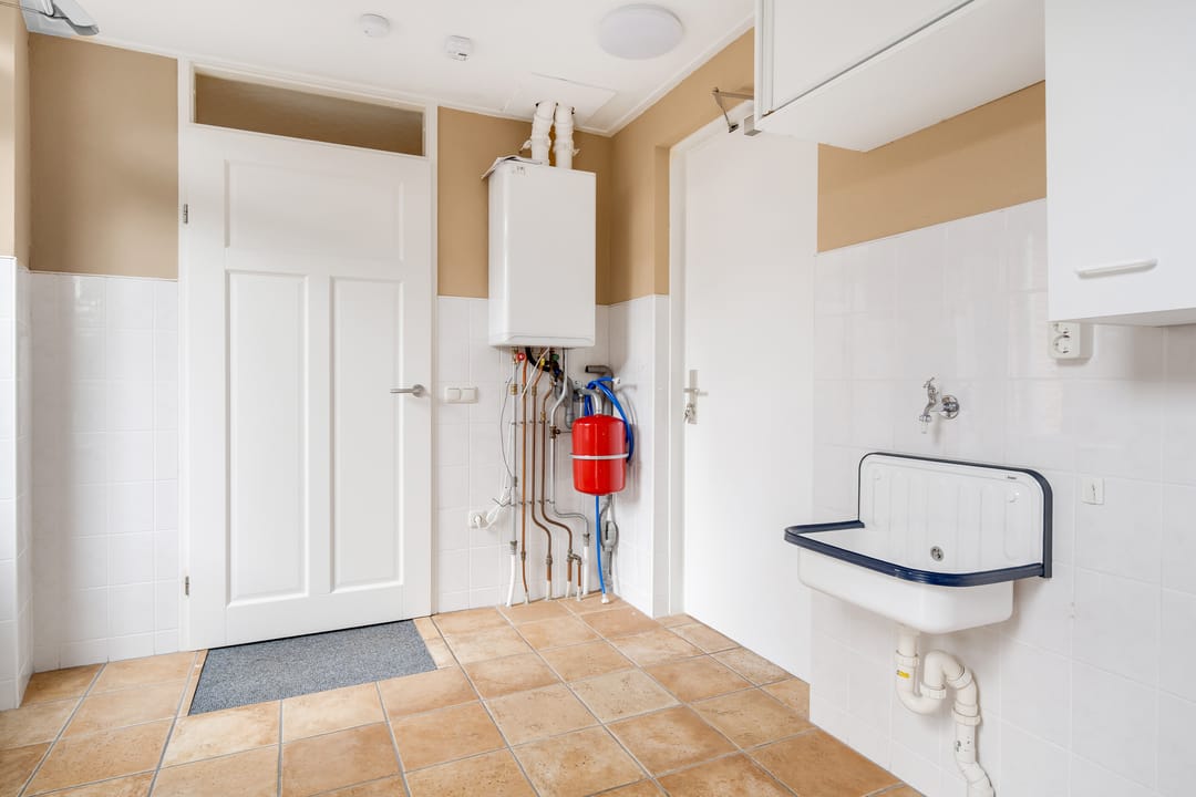 Photo 16 of Engelwortel 11