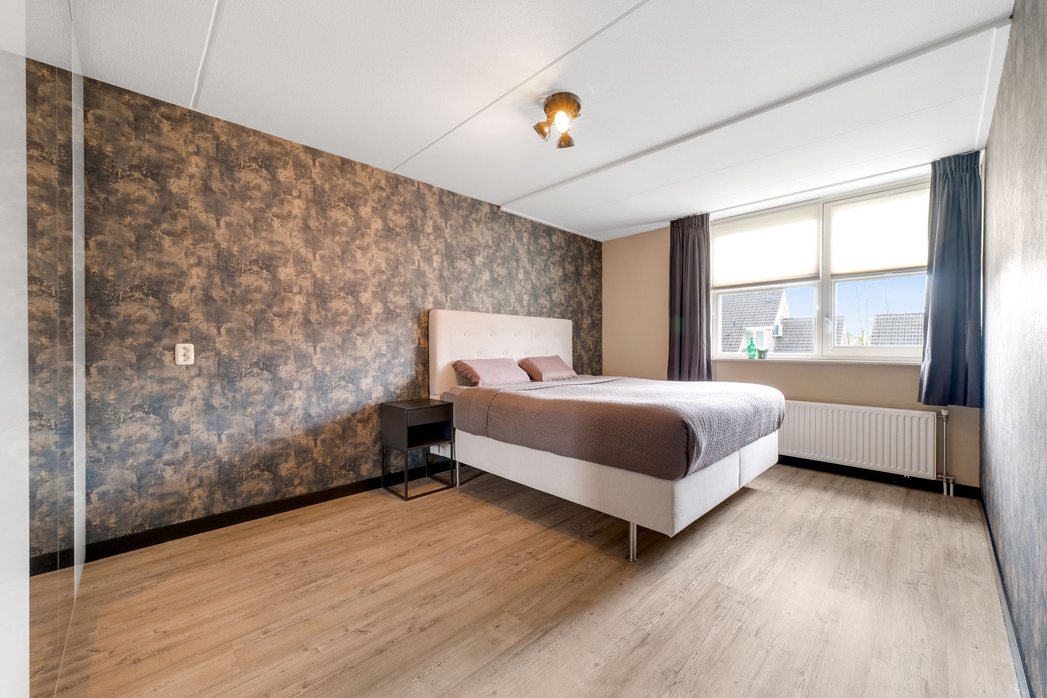 Photo 24 of Engelwortel 11