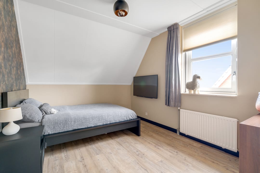 Photo 26 of Engelwortel 11